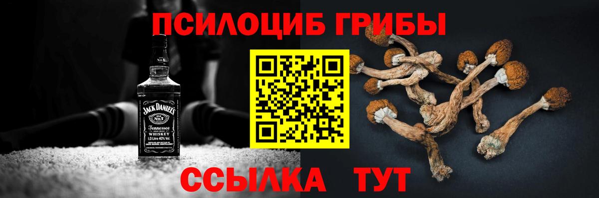Обнинск  Псилоцибиновые грибы Magic Shrooms  Вход с VPN  Псилоцибиновые грибы прущие грибы 